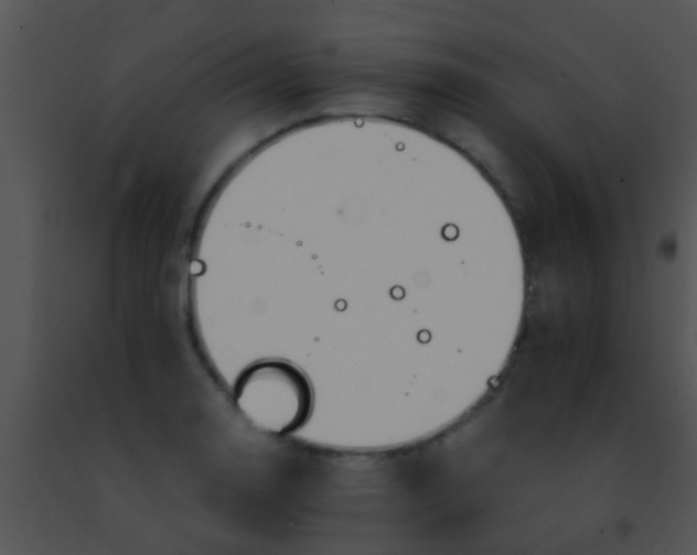 X0000091501130200708301952