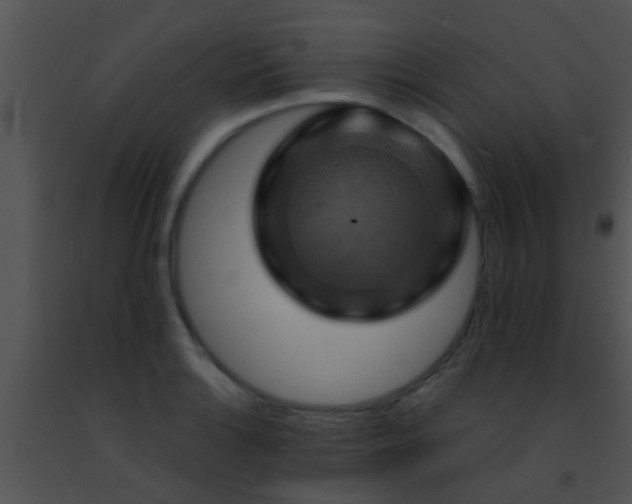 X0000091501132200708301952