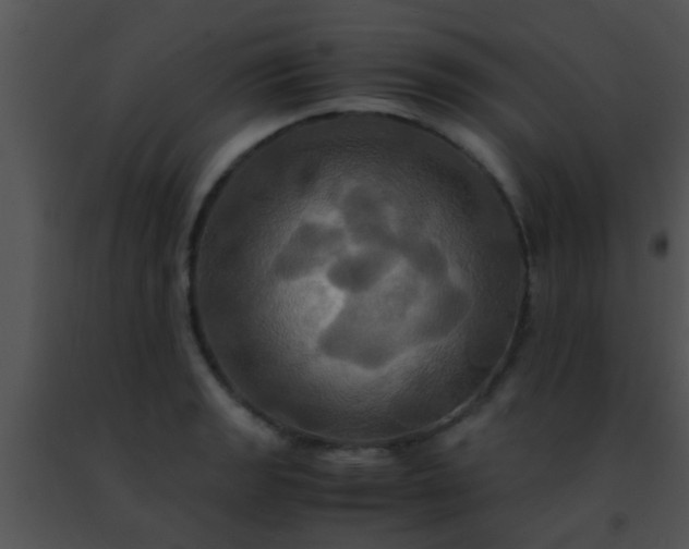 X0000091501133200708301952