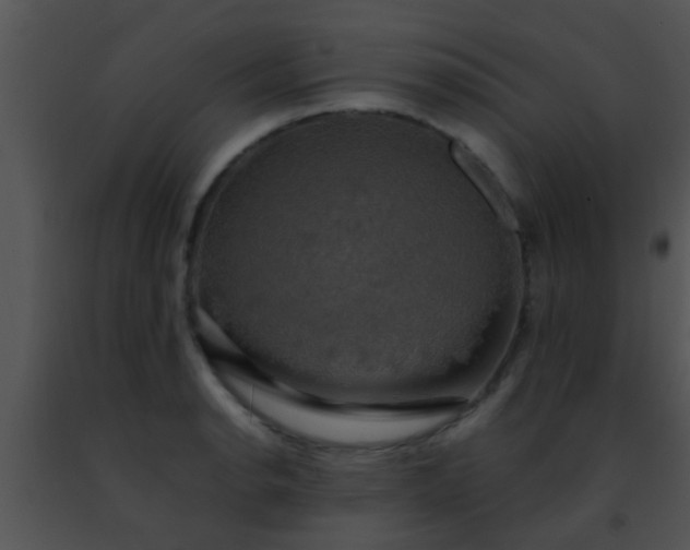 X0000091501134200708301952