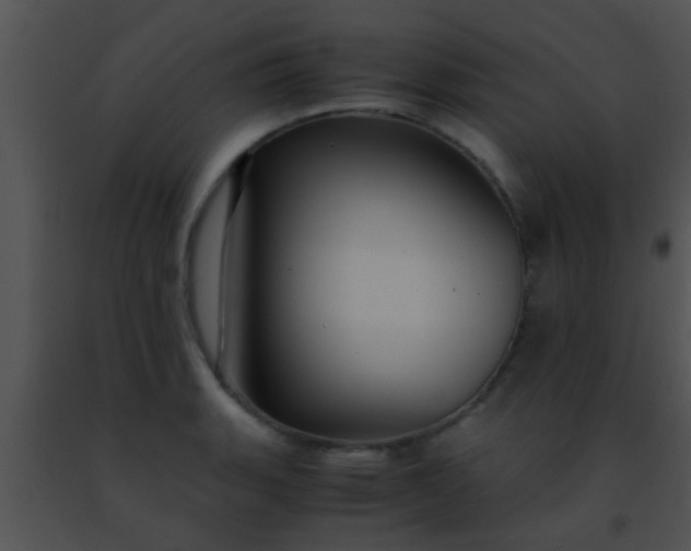 X0000091501135200708301952