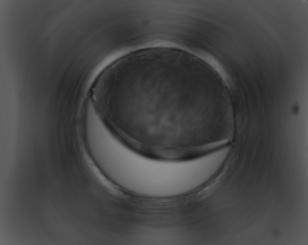 X0000091501142200708301952