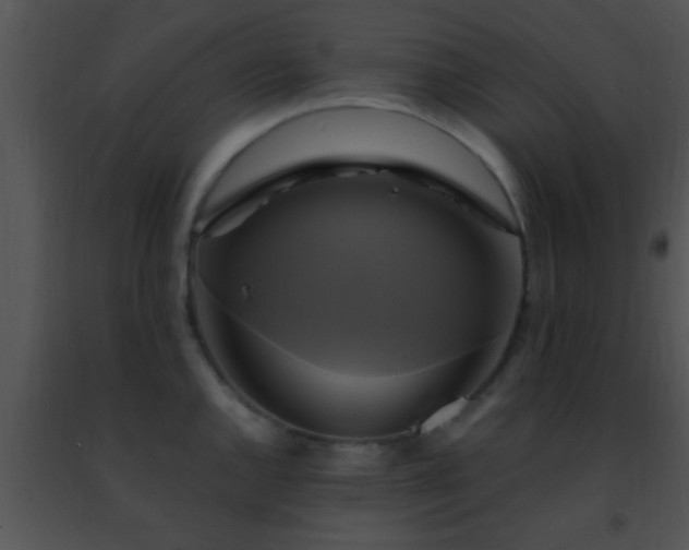 X0000091501144200708301952