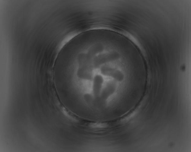 X0000091501145200708301952