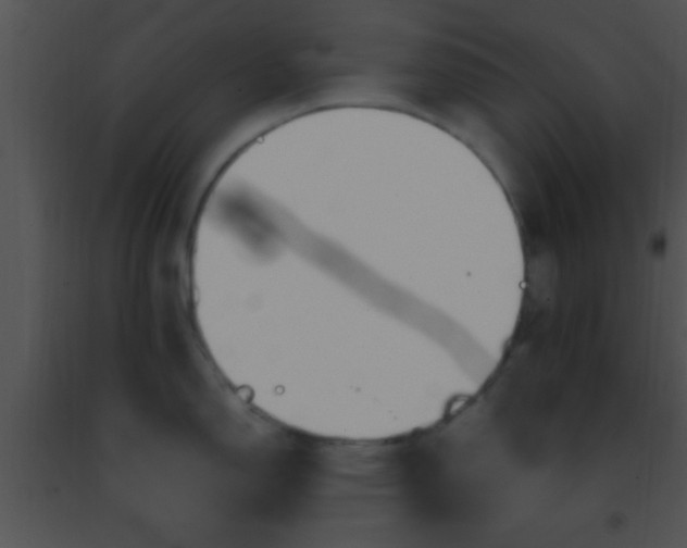 X0000091501150200708301952