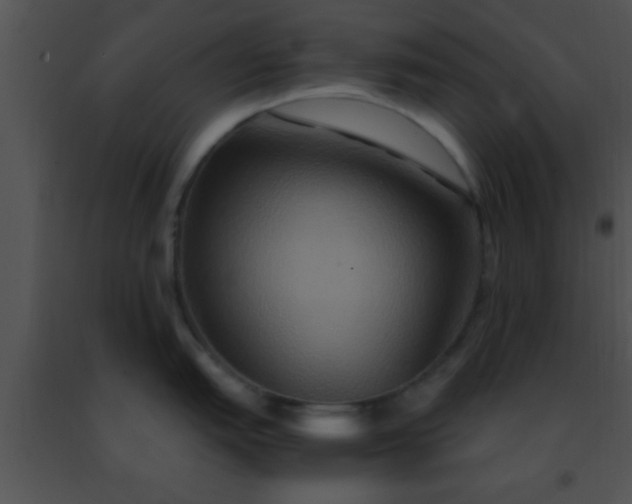 X0000091501151200708301952