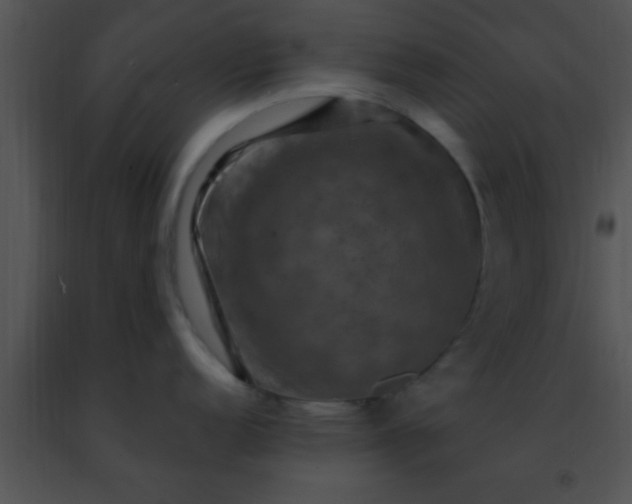 X0000091501152200708301952