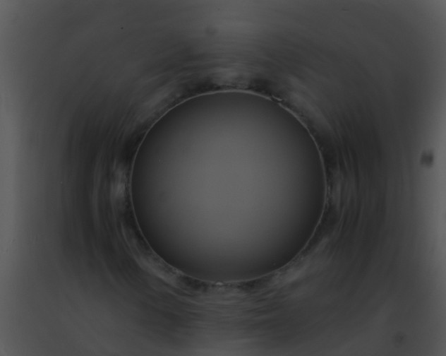 X0000091501154200708301952