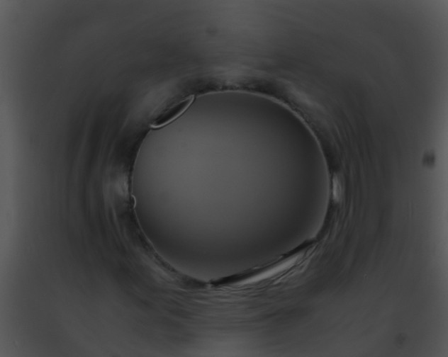 X0000091501155200708301952