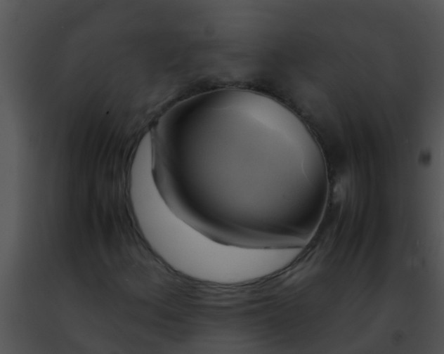 X0000091501156200708301952