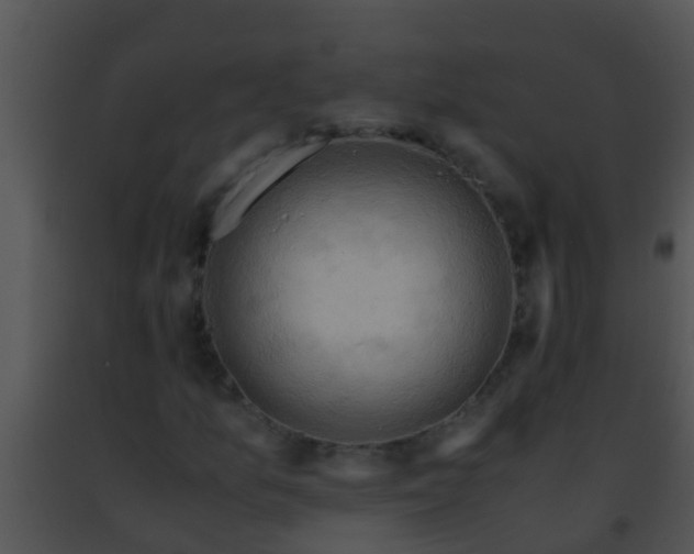 X0000091501157200708301952