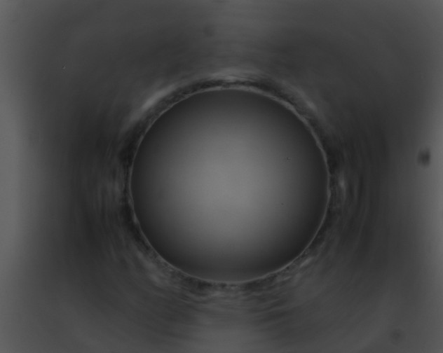 X0000091501158200708301951