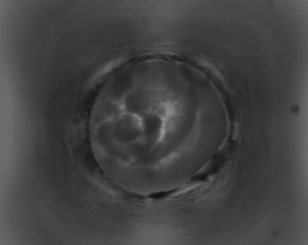 X0000091501159200708301951