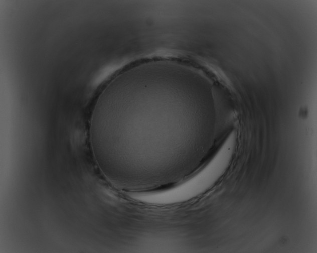 X0000091501160200708301951