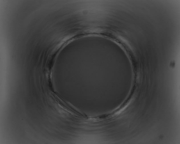 X0000091501161200708301951