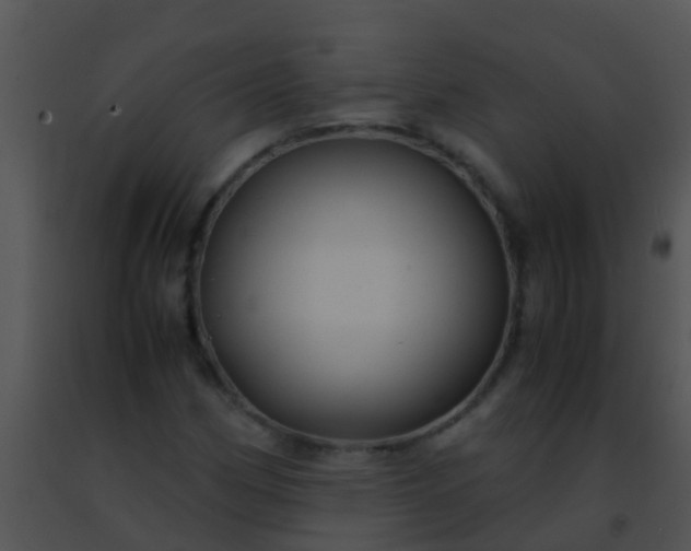 X0000091501162200708301951