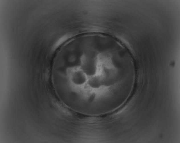 X0000091501163200708301951