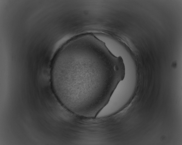 X0000091501164200708301951