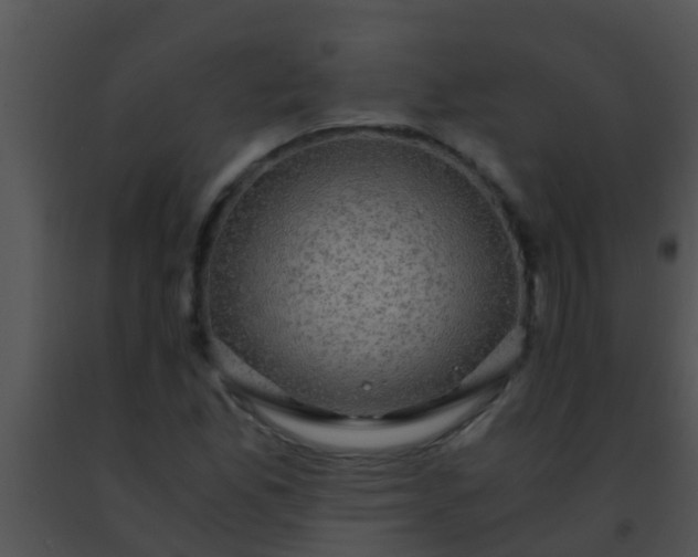 X0000091501165200708301951