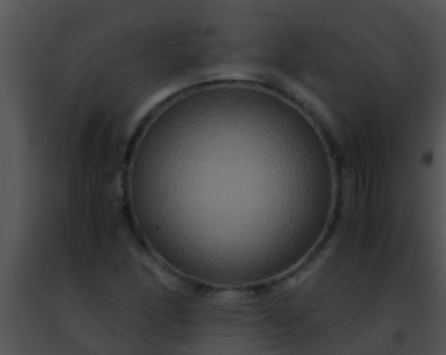 X0000091501166200708301951