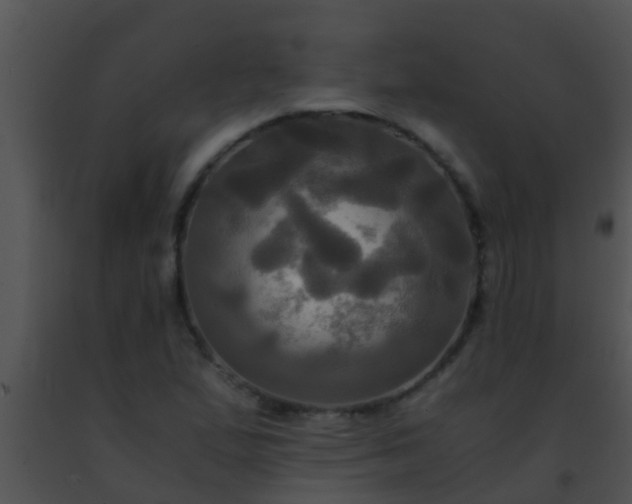 X0000091501167200708301951