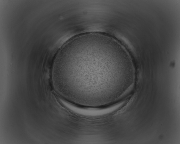 X0000091501169200708301951