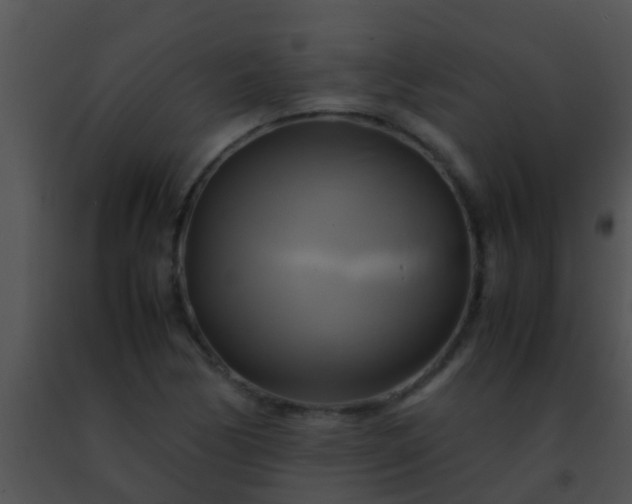 X0000091501170200708301951