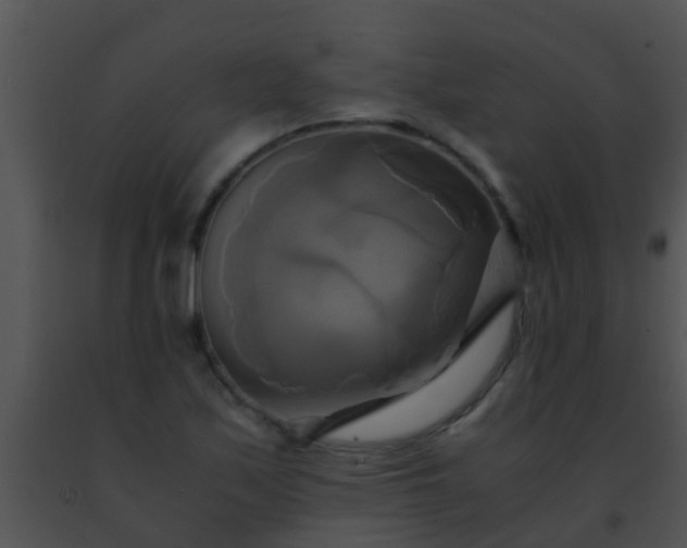 X0000091501171200708301951