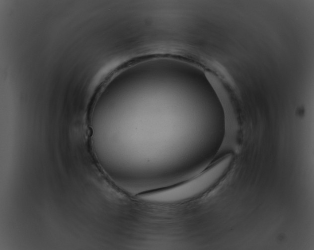 X0000091501172200708301951