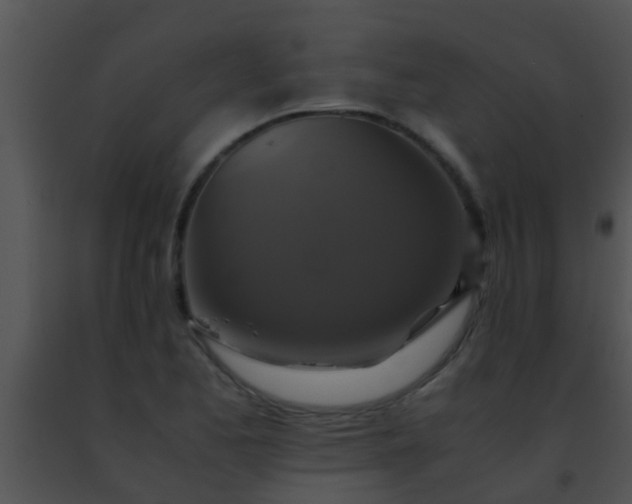 X0000091501173200708301951