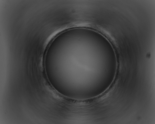 X0000091501174200708301951