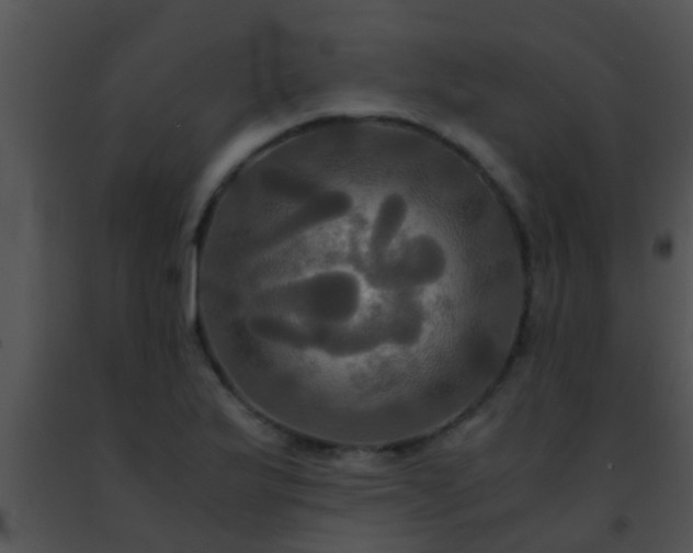 X0000091501175200708301951