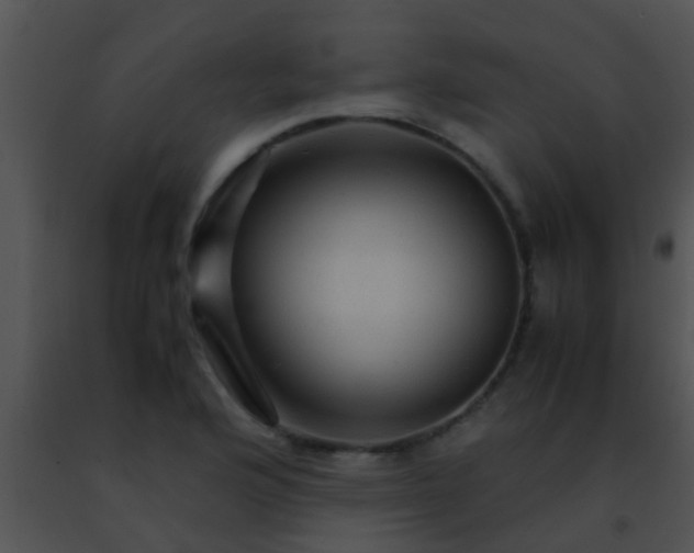 X0000091501176200708301951