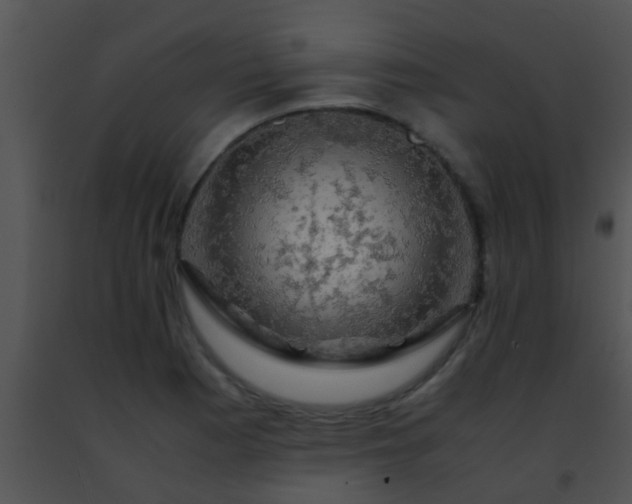 X0000091501177200708301951