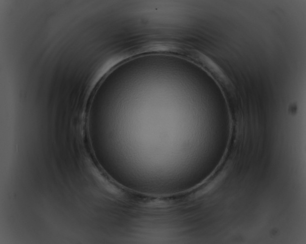 X0000091501178200708301951