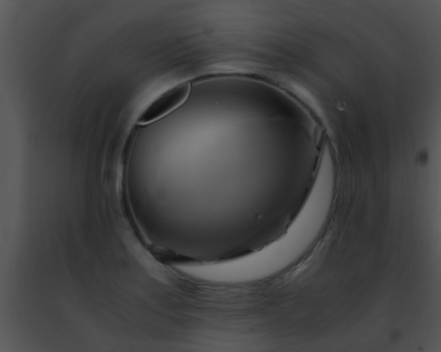 X0000091501179200708301951