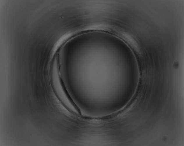 X0000091501180200708301951