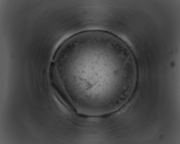 X0000091501181200708301951