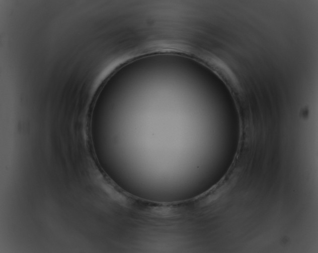 X0000091501182200708301951