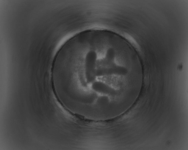 X0000091501183200708301951