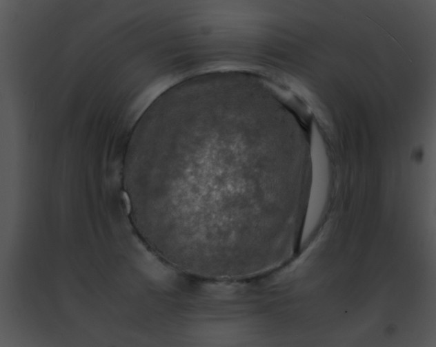 X0000091501185200708301951