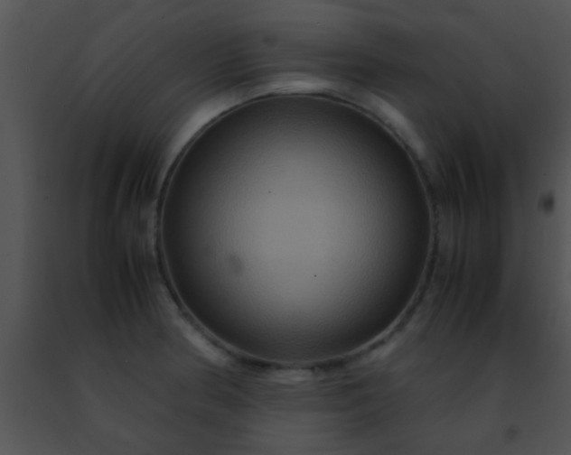 X0000091501186200708301951