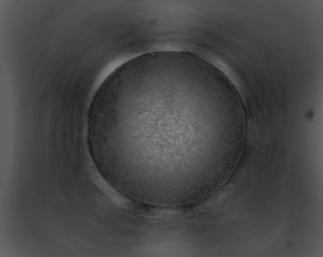 X0000091501187200708301951