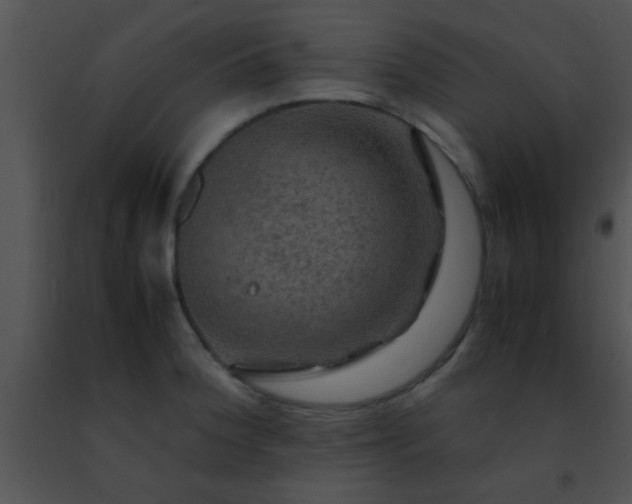 X0000091501188200708301951