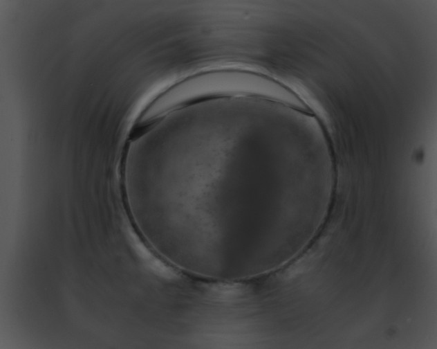 X0000091501189200708301951