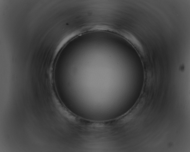 X0000091501190200708301951