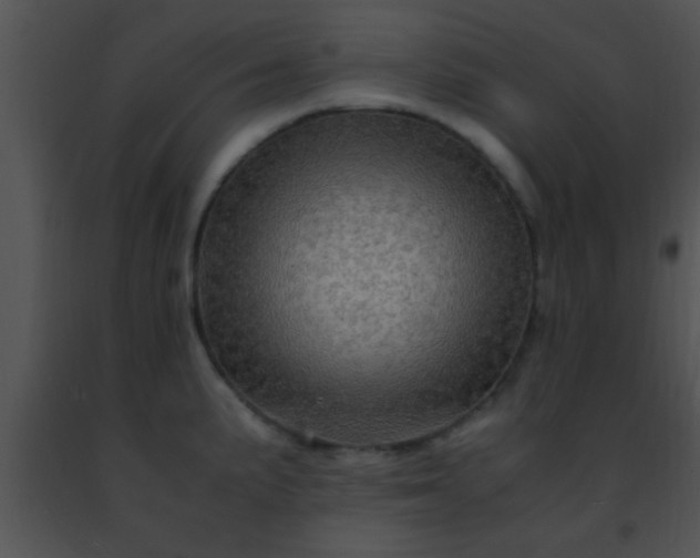 X0000091501191200708301951