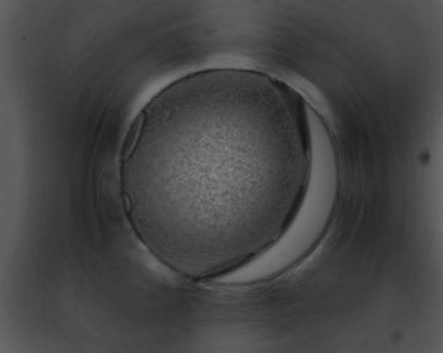 X0000091501192200708301951