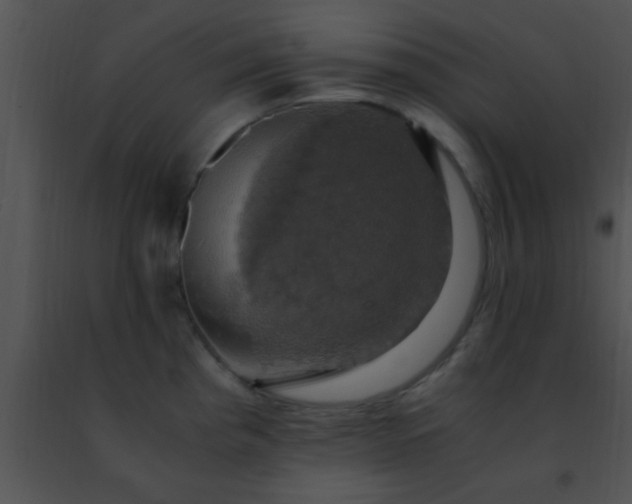 X0000091501193200708301951