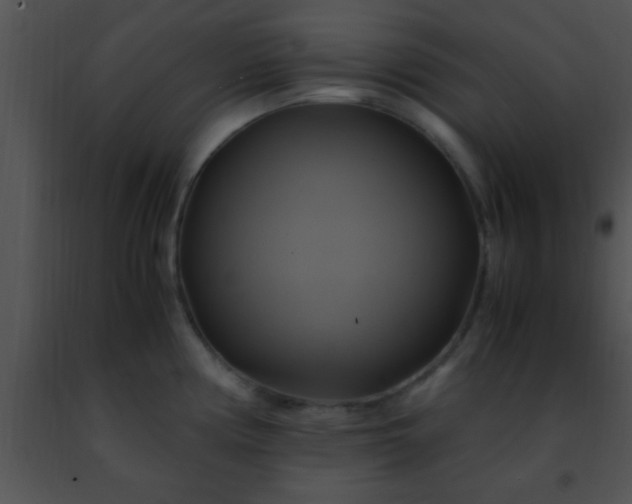 X0000091501194200708301951